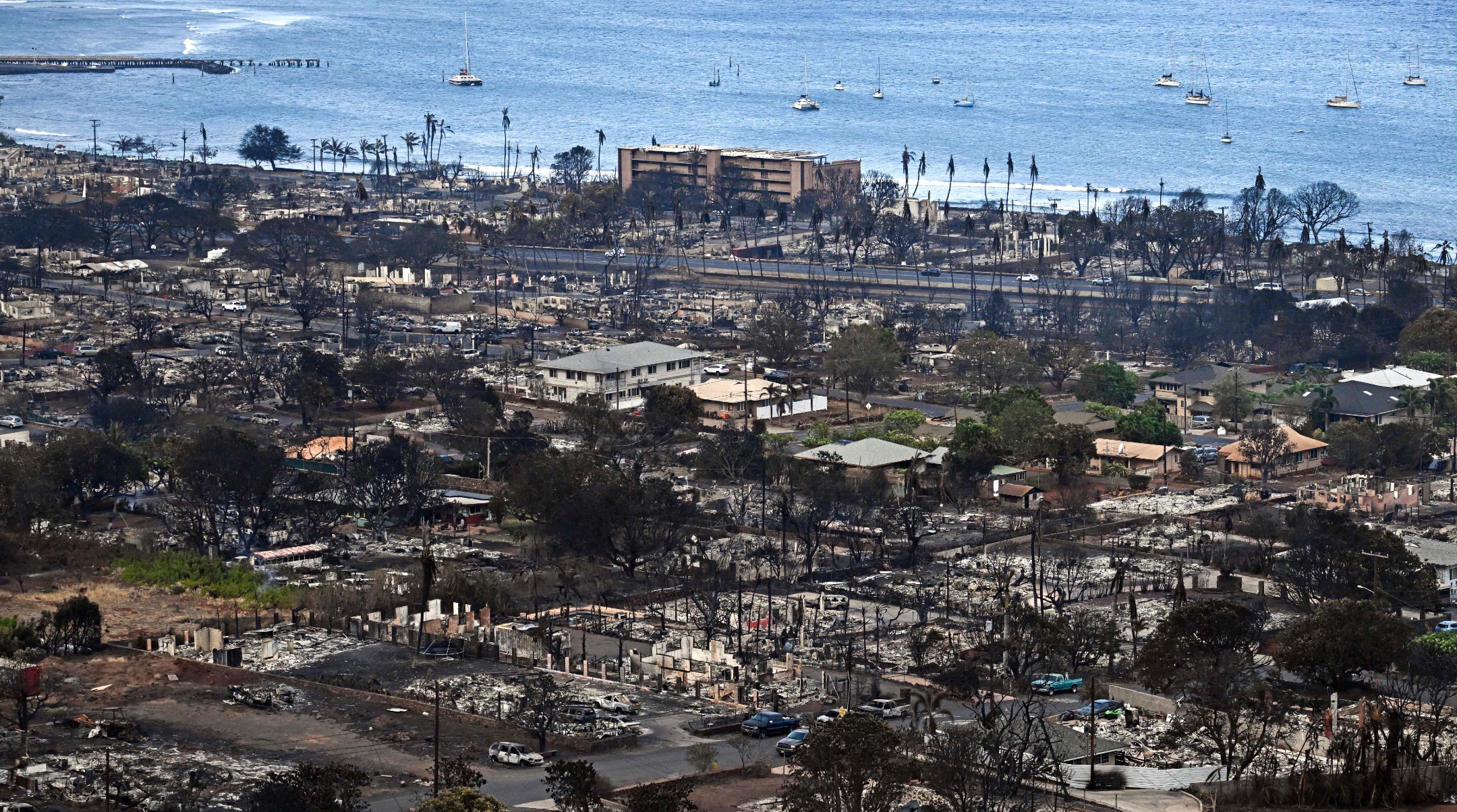 Jewish Groups Launch Relief Effort for Maui as Island’s Jews are Among the Evacuated
